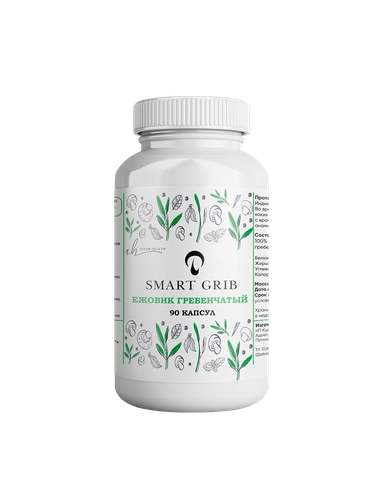 Ежовик гребенчатый мицелий