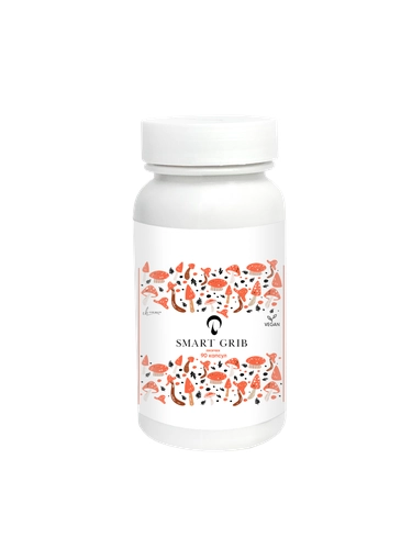 Грибы лисички