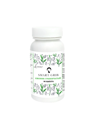 Ежовик гребенчатый мицелий